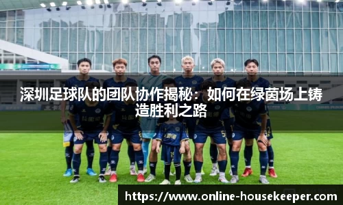 深圳足球队的团队协作揭秘：如何在绿茵场上铸造胜利之路